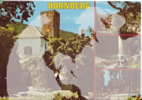 Hornberg - D 1988 95 003 ●